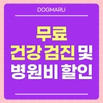 부산강아지분양 고양이분양 도그마루