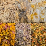 찬찬퓨전한식뷔페&도시락