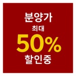 대구고양이분양 퍼스트캣 대구점