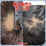 큐사랑 화정은빛점