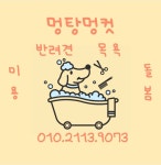 멍탕멍컷 해운대 강아지 애견미용실