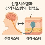 리얼바디짐 오류점
