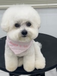 댕스얼랏