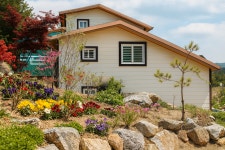 자작나무숲 펜션