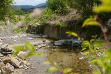 자작나무숲 펜션