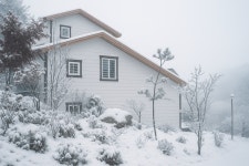 자작나무숲 펜션