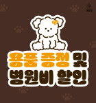 광주 강아지분양 고양이분양 어반펫 광주본점