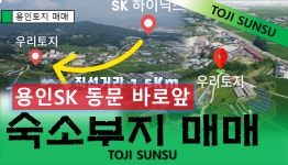 원삼 희망 공인중개사 사무소