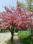 온천스파벨리