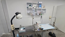 하수의과동물병원