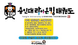 용인대라이온킹태권도