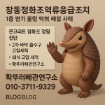 하수구막힘싱크대막힘고압세척싹뚜러하수구확뚜러배관연구소
