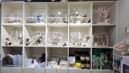 예뻐,영&포켓쥬