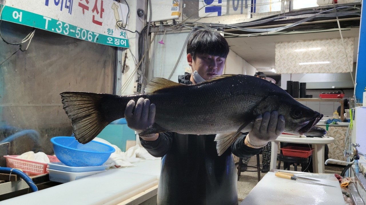 혁이네수산