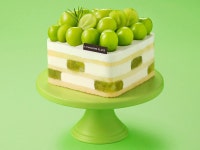 투썸플레이스 부천소새울역점