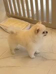 미니멍살롱