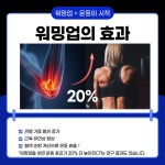 공주핏