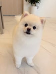 미니멍살롱