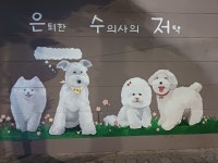 은퇴한수의사의저택