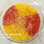 타파웨어 탑월드 대리점