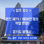 지노 클린