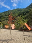 하늘숲 오토캠핑장