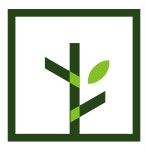 생각하는 나무수학학원