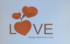 타파웨어 탑월드 대리점