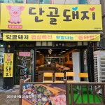 단골돼지