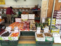 윤가네대박야채과일