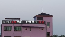나루터숯불장어