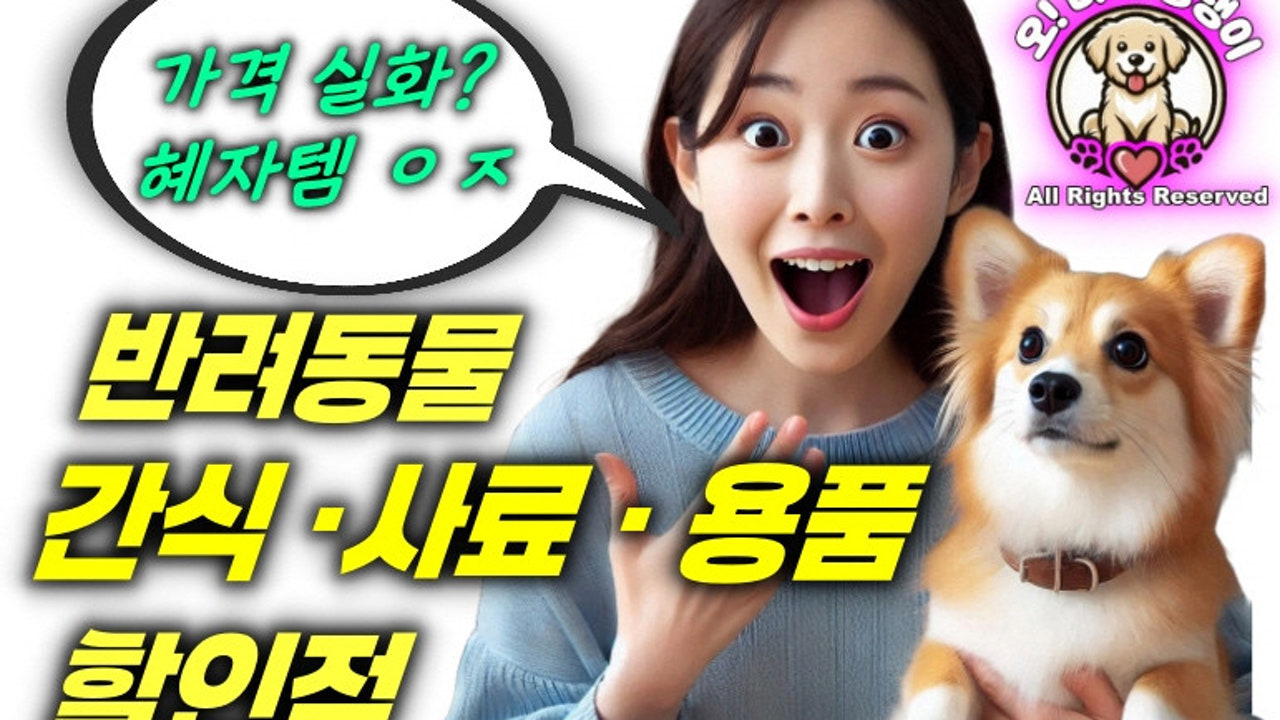 오마이댕댕이 애견카페 애견용품