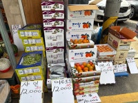 윤가네대박야채과일