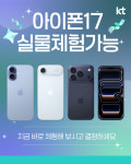 KT 금동 정관점