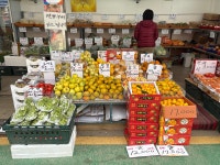 윤가네대박야채과일