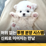 행복만개 강아지분양 고양이분양 인천본점