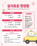 슬기로운 멍생활