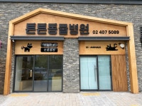 튼튼동물병원
