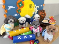 난다몽 일산애견유치원&호텔