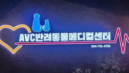 AVC반려동물메디컬센터