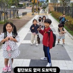 용인대꿈나래태권도