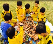 푸른나라유치원