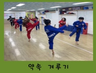 동양태권도