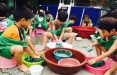 푸른나라유치원