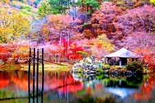 미사퍼스트 공인중개사사무소