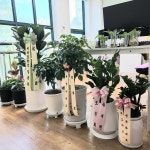 A+해든재가복지센터