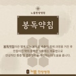 노블한방병원