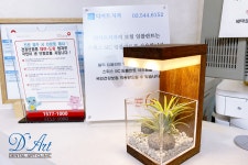 디아트치과의원