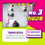 용인대슬기태권도장