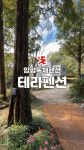 에스제이디자인